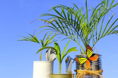 Hoe u uw amaryllis goed verzorgt - Een verzorgingsgids voor Ritterstern