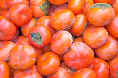 Herken ongedierte op aardbeien en bestrijd ze effectief