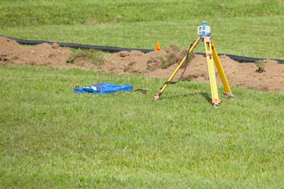 Hoe heide correct te snijden - snijinstructies voor heide geschikt voor beginners