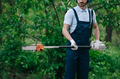 Hertenvlier - hout met takerkwaliteiten - een portret