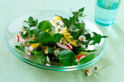 Hier leest u hoe u de zorg voor een Miltonia-orchidee onder de knie krijgt