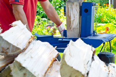 Hoeveel water heeft oregano nodig?