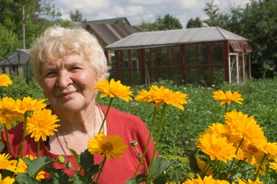 Sappige perziken uit eigen tuin - perzikseizoen tussen juli en augustus