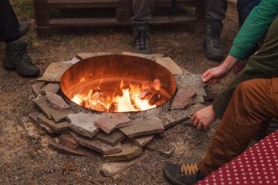 Je eigen pruimenboom verfijnen: zo werkt het