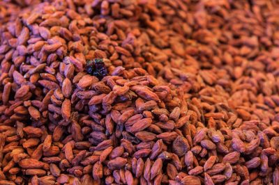 Hoe stokrozen en trucs te planten