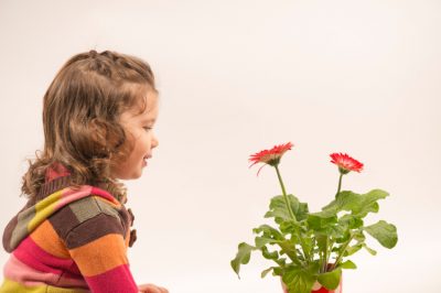 Hoe tulpen op het balkon te planten