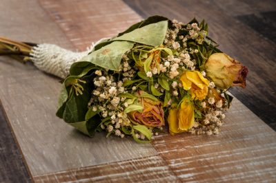 Zamioculcas kan gemakkelijk worden vermeerderd door stekken