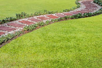 Hoe een balkonbak met grassen te ontwerpen - ideeën voor het plantplan