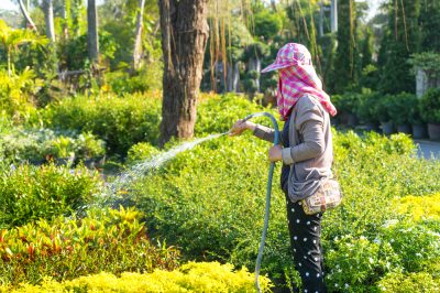 Pflege, Pflanzen, Boden, Einen Baum richtig pflanzen – Standort