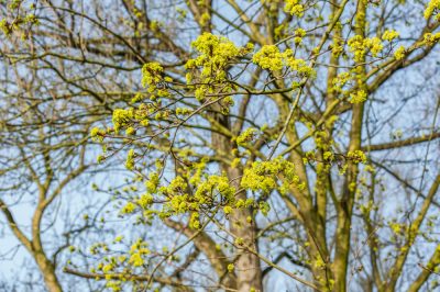 Maak het tuinbed functioneel en aantrekkelijk