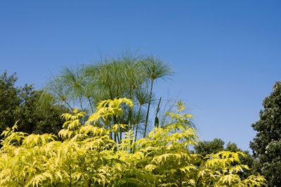 Hoe en hoe lang moet brandhout drogen?