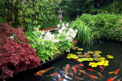 Hoe u uw tuin op de juiste manier bemest voor de ideale toevoer van voedingsstoffen