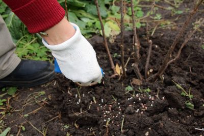 Tuingereedschap slijpen - zo werkt het met de hand