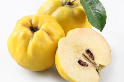 Hoe schilder je je tuinhuisje - natuurlijk of kleurrijk?
