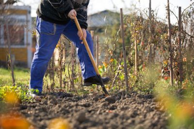 Het tuinhuis beveiligen - zo moet u te werk gaan