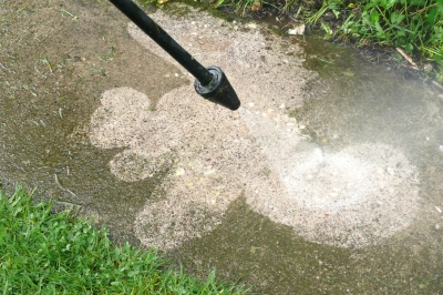 Hoe insecten naar de tuin te lokken