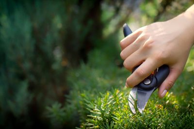 Hoe u kleigrond op de juiste manier verwijdert