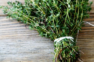 Naaktslakken in de tuin - wat te doen?