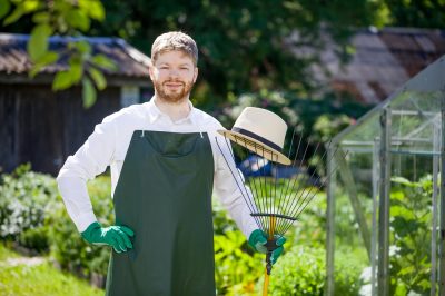 Irritant of nuttig?, Rode kevers herkennen - Zijn ze schadelijk