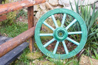 Trachycarpus fortunei - het werkt niet zonder winterbescherming!