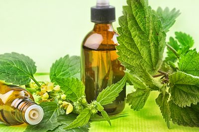 Tradescantia: verzorging en variëteiten (driemasterbloem)
