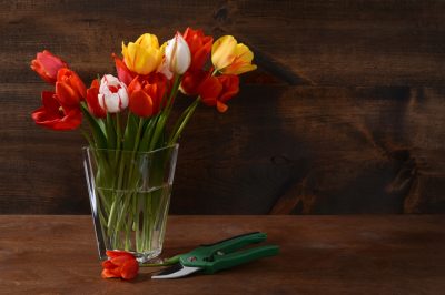 Hoe ziet de bloesem van de tulpenboom eruit?