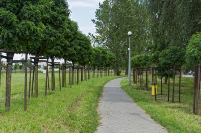 Het gazon correct verticuteren - hoe diep moet het zijn?