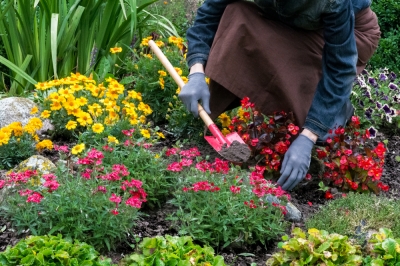 Maak de voortuin mooi en veilig met een locatie op een heuvel - hier moet u op letten